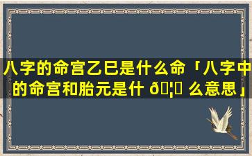 八字的命宫乙巳是什么命「八字中的命宫和胎元是什 🦁 么意思」